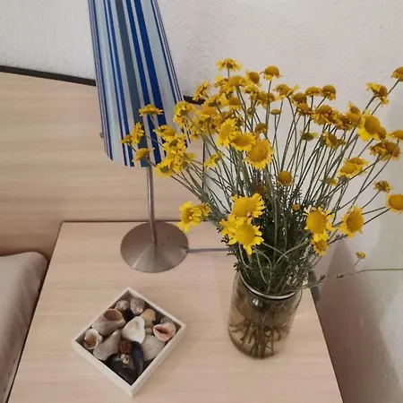 Casa de hóspedes Cozy